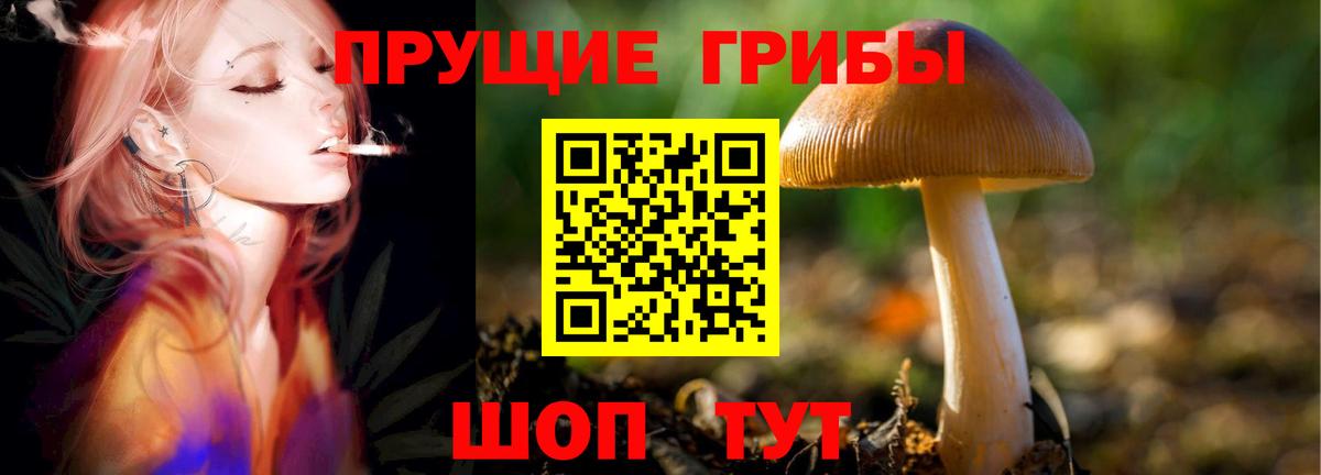 Кумертау  Псилоцибиновые грибы мицелий  Вход с VPN  хочу наркоту  Псилоцибиновые грибы прущие грибы 
